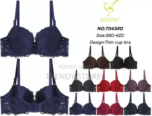 Lace Pushup Bra