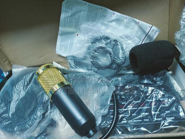 Pc Karaoke Voice Recording Condenser Microphone