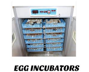 528 Egg Incubator - thumbnail 2