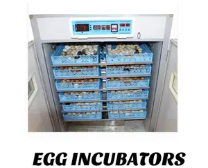 528 Egg Incubator
