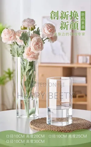 Modern Creative Clear Glass Vase
