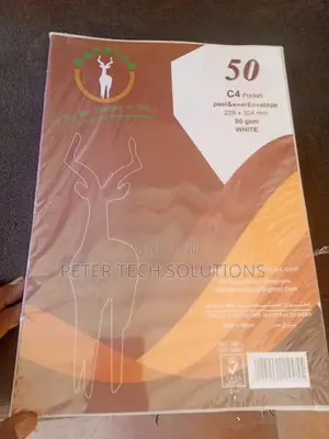 CARTON White A4 Envelopes 80gsm