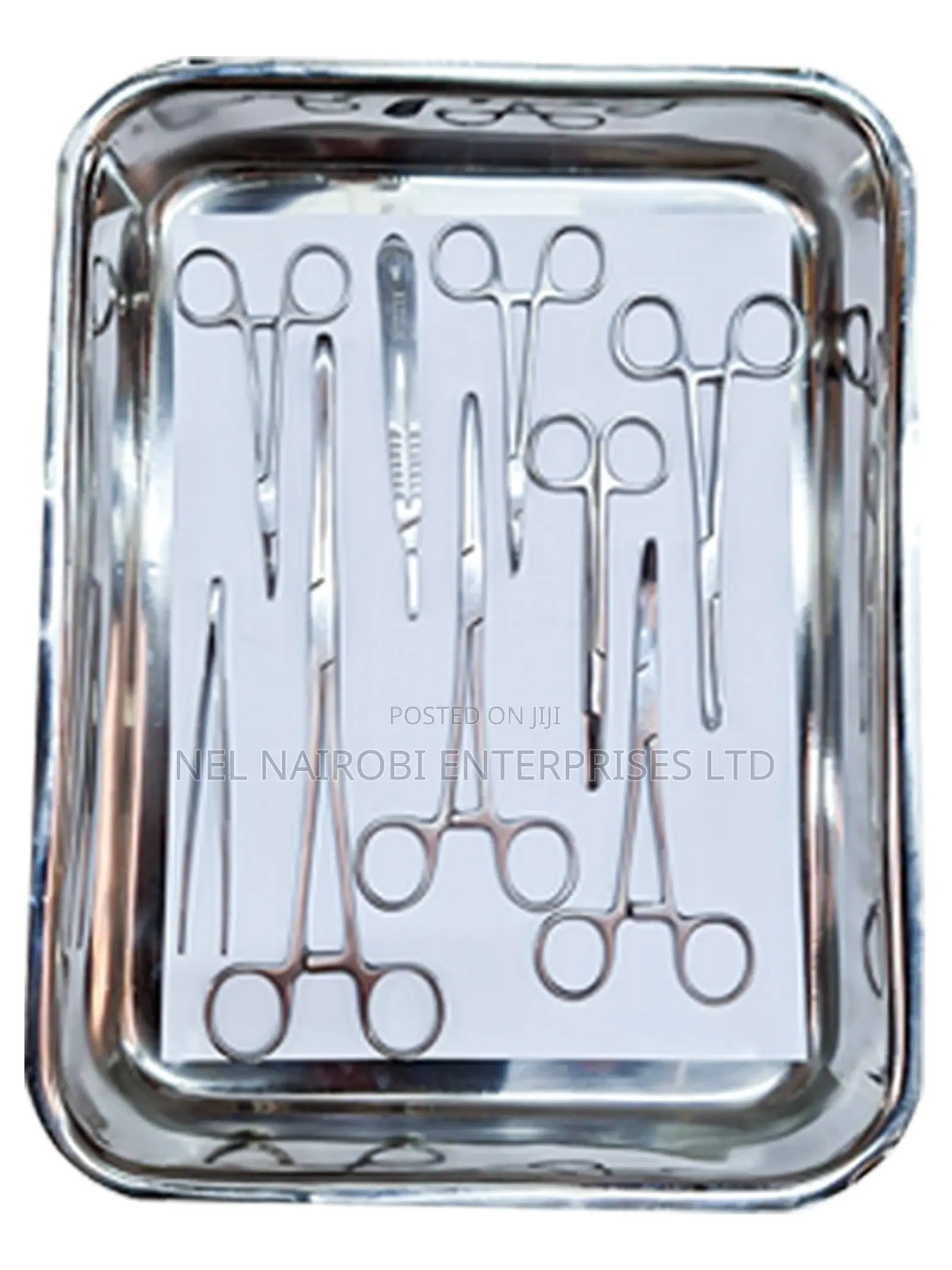 Laratomy Set