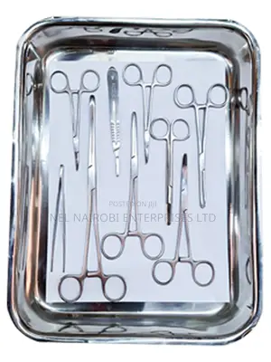 Laratomy Set