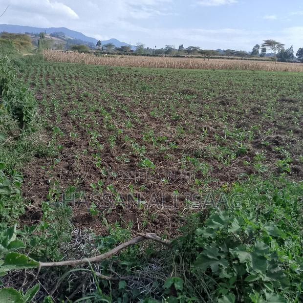 50 by 100 Plot for Sale in Eburru- Kongasis Shopping Center