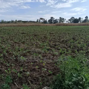 50 by 100 Plot for Sale in Eburru- Kongasis Shopping Center