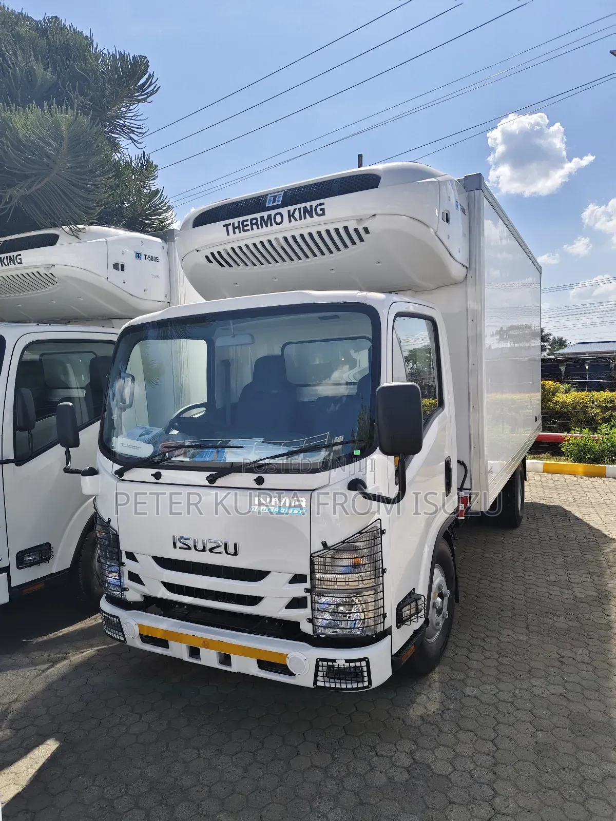 Zero Mileage Isuzu NQR Refrigerated Body