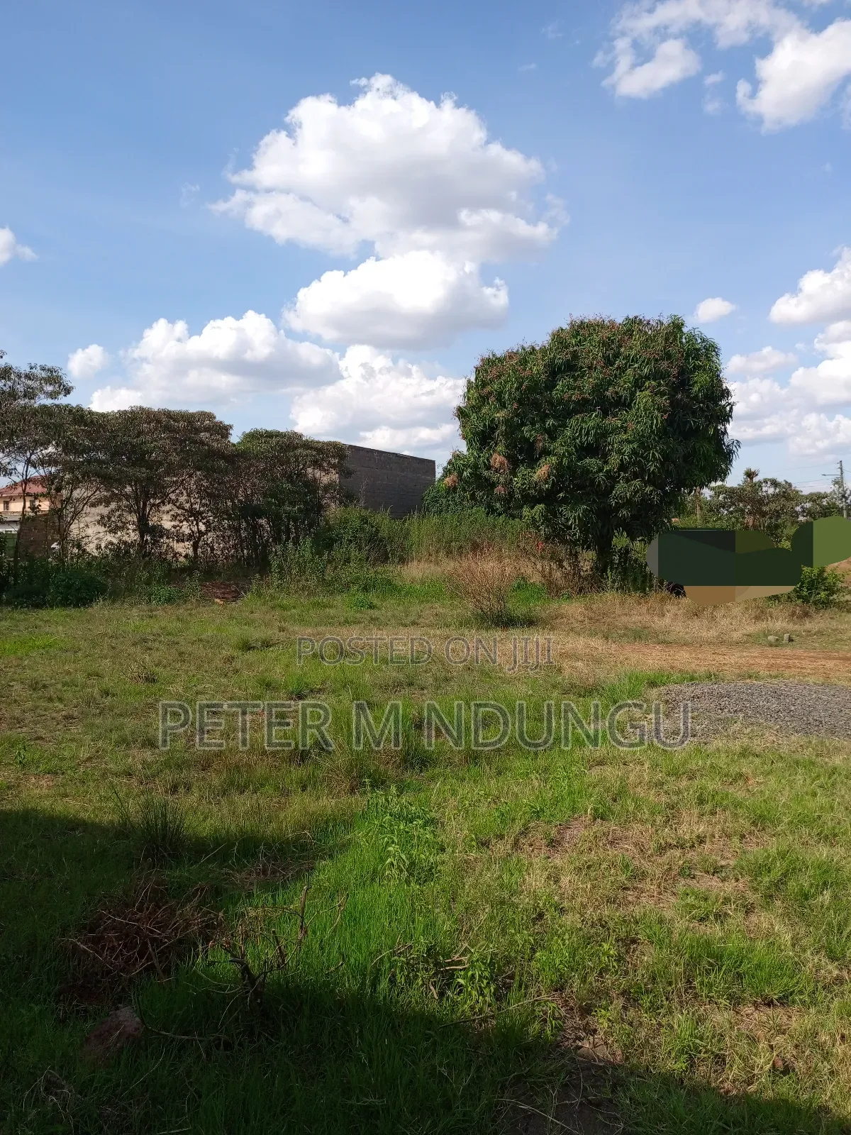 Prime Land on Sale 1/2 Acre, Greenspot Kamakis