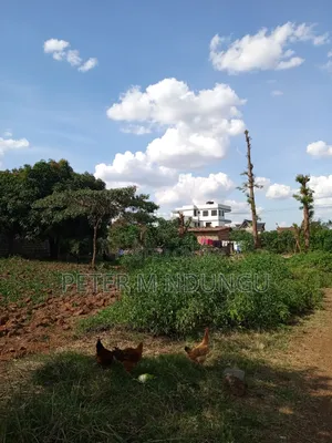 Prime Land on Sale 1/2 Acre, Greenspot Kamakis
