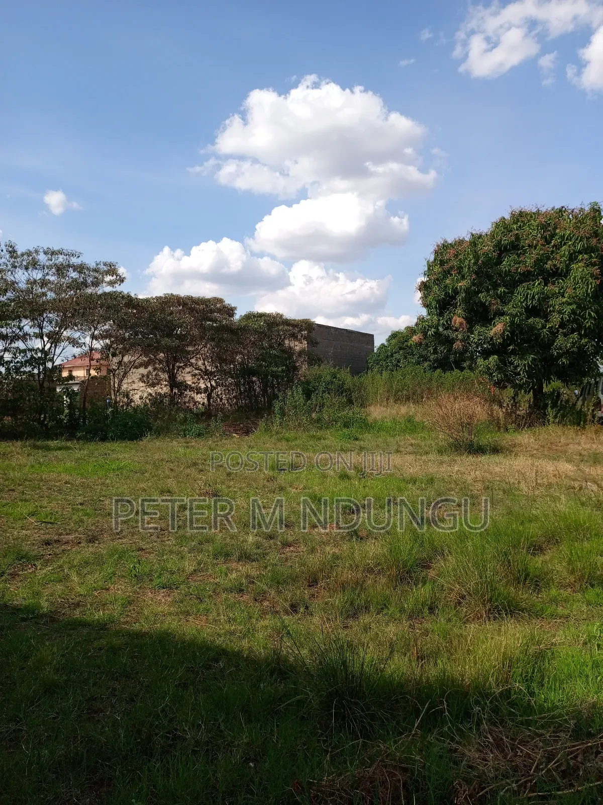 Prime Land on Sale 1/2 Acre, Greenspot Kamakis