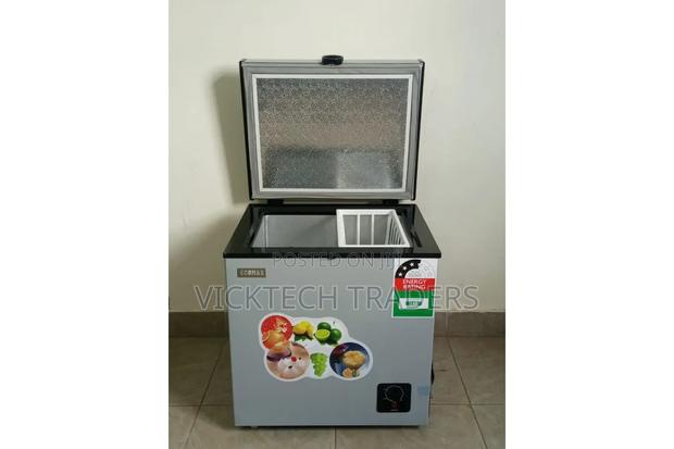 Freezer Ecomax,60litres