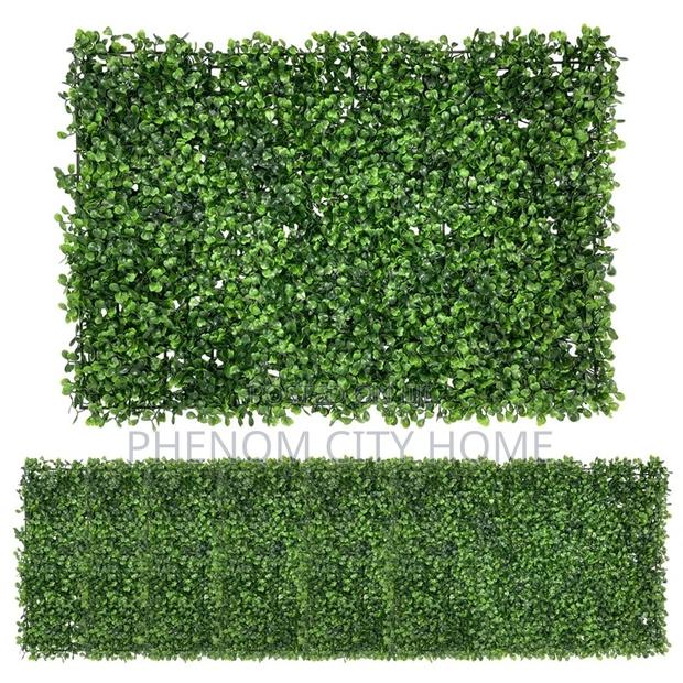 Boxwood Wall Hedges
