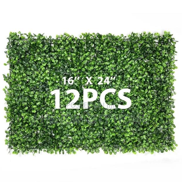 Boxwood Wall Hedges - thumbnail 2