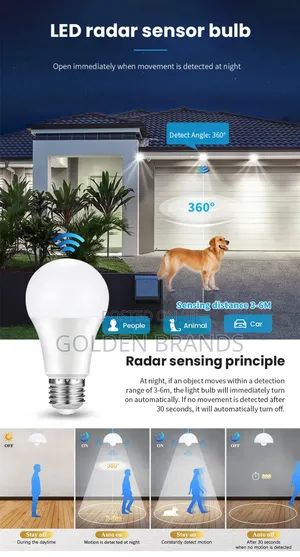 Motion Sensor Ied Light Bulb