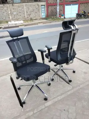 Orthopedic Ergonomic Office Chair