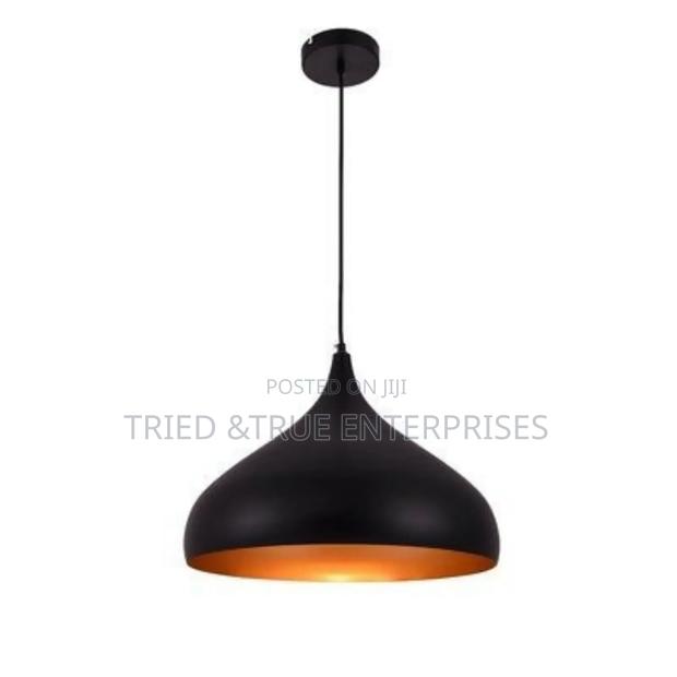Single Pendant Light Fr4