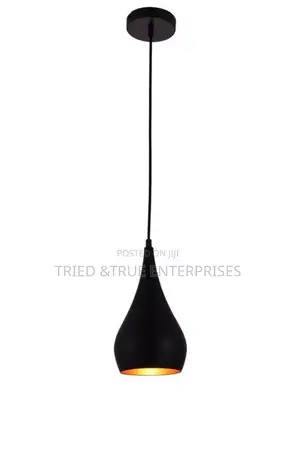 Single Pendant Light Za8