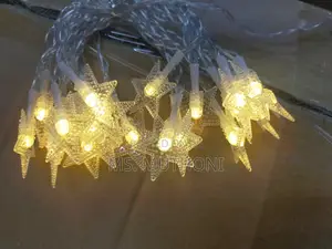 Star Shaped Christmas Lights*