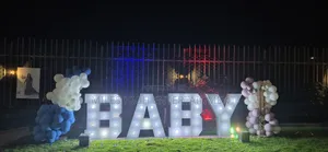 Boy or Girl Gender Reveal Surprise
