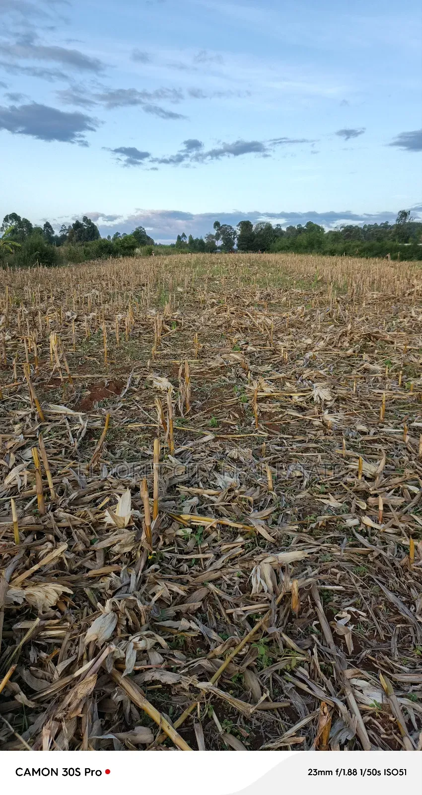 2 Acres Kabenes Touching Tarmac