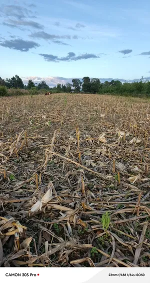 2 Acres Kabenes Touching Tarmac