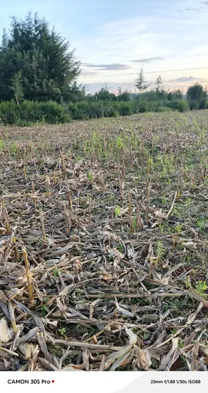 2 Acres Kabenes Touching Tarmac