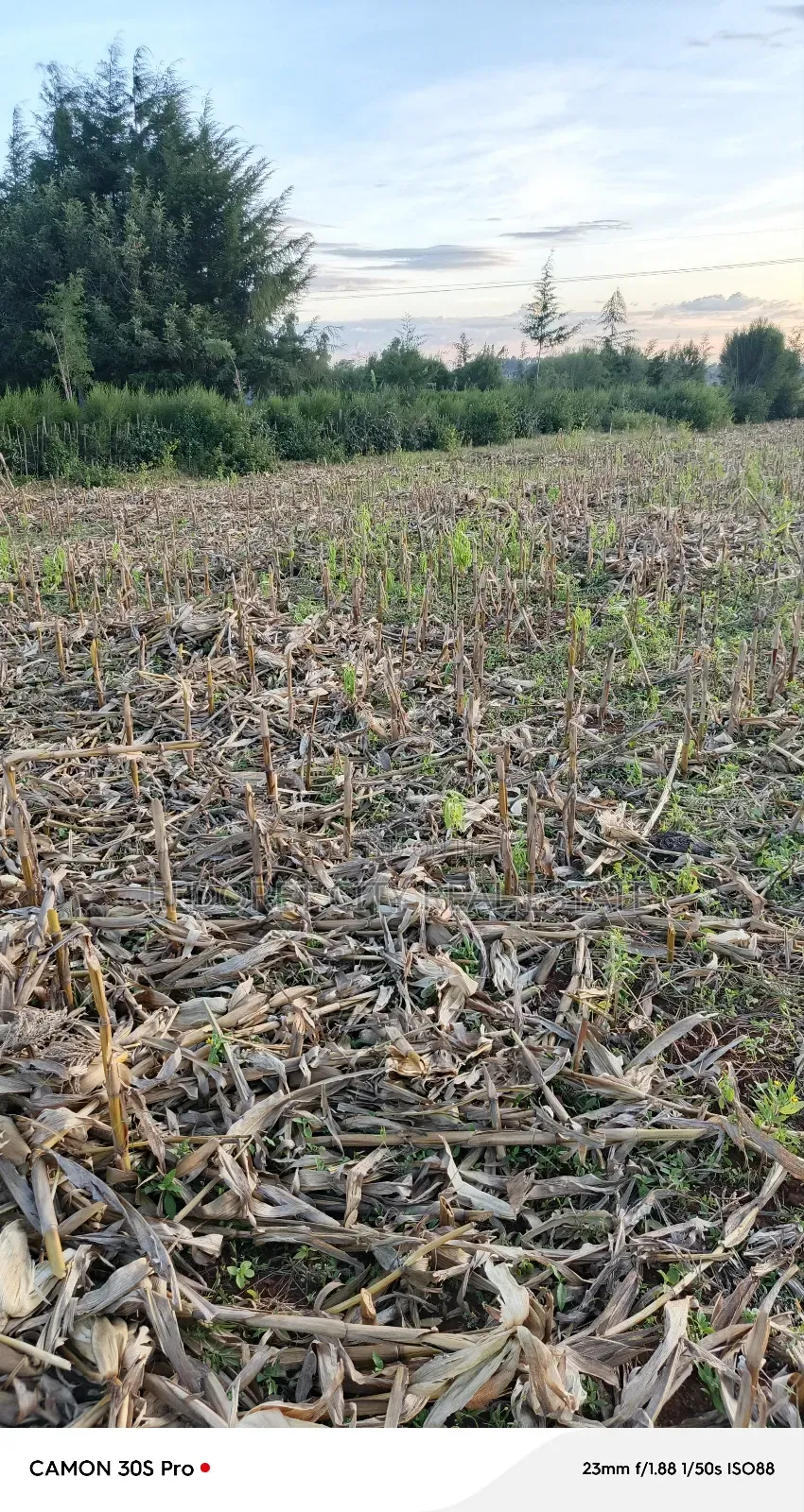 2 Acres Kabenes Touching Tarmac