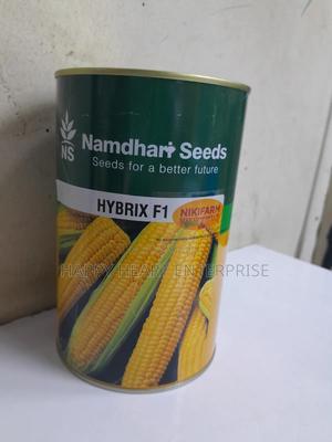 Sweetcorn  (Hybrix F1 )250g - thumbnail 2