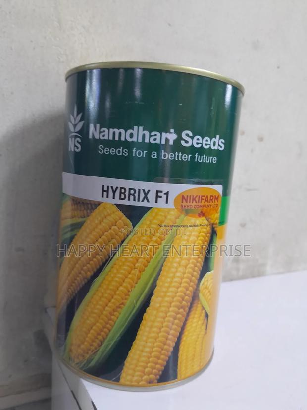Sweetcorn  (Hybrix F1 )250g - thumbnail 3