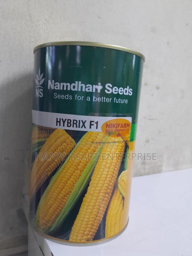 Sweetcorn  (Hybrix F1 )250g - thumbnail 4