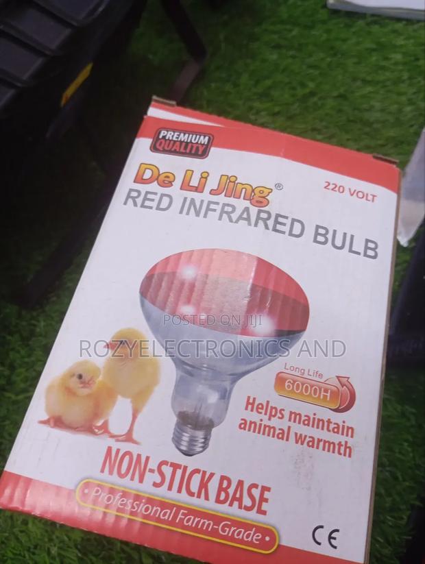 Chicken Infrared Bulb - main view