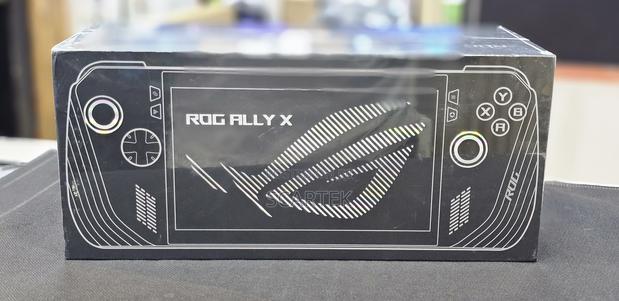Rog Ally X