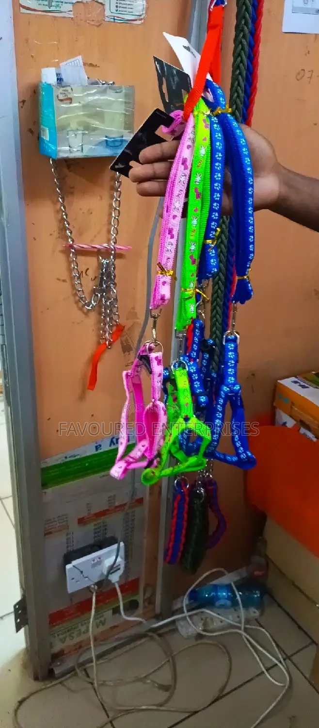 Dog Leash Small
