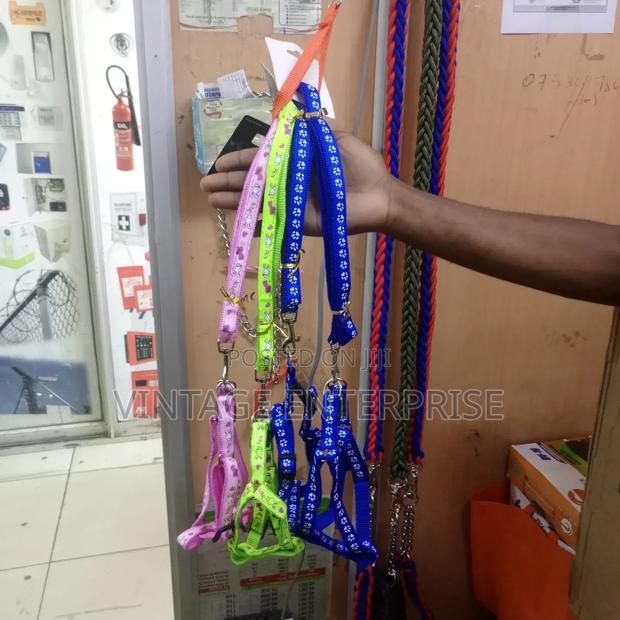 Dog Leash/Dog Leash - main view