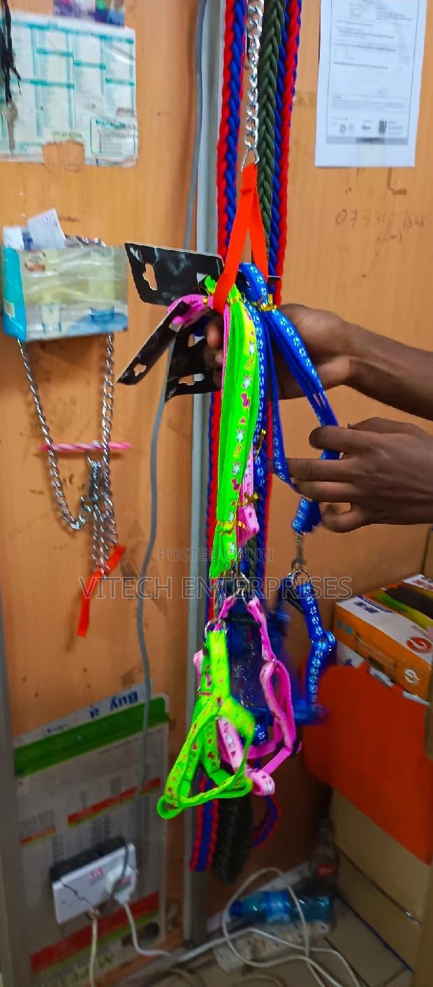 Small Dog Leash (Dog Leash) - main view