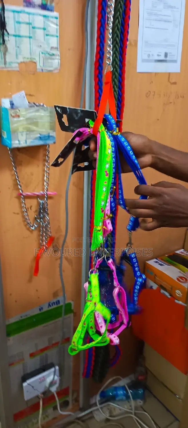 Small Dog Leash (Dog Leash)