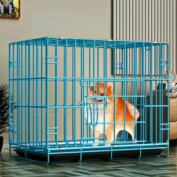 Rabbit Cats Puppies Crate - main view