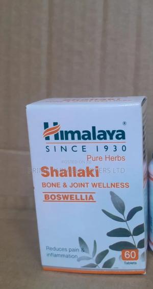 Himalaya Shalaki - thumbnail 2