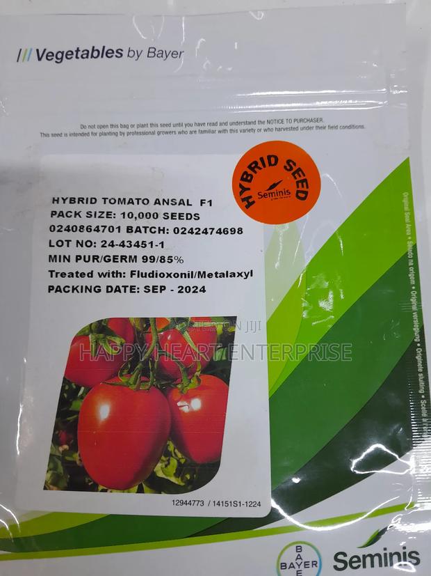 Tomato Ansal 10,000 Seeds - thumbnail 3