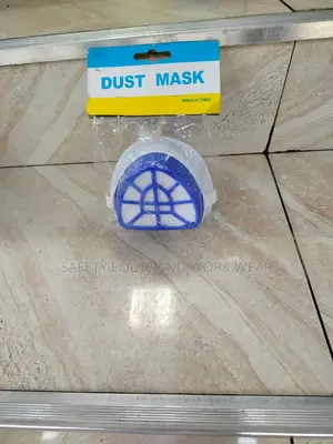 Safety Dust Mask