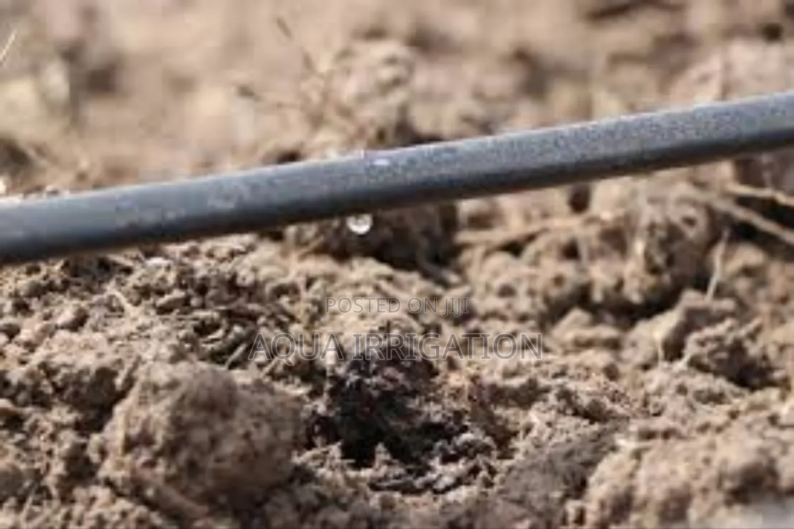Irrigation via Drip Tape