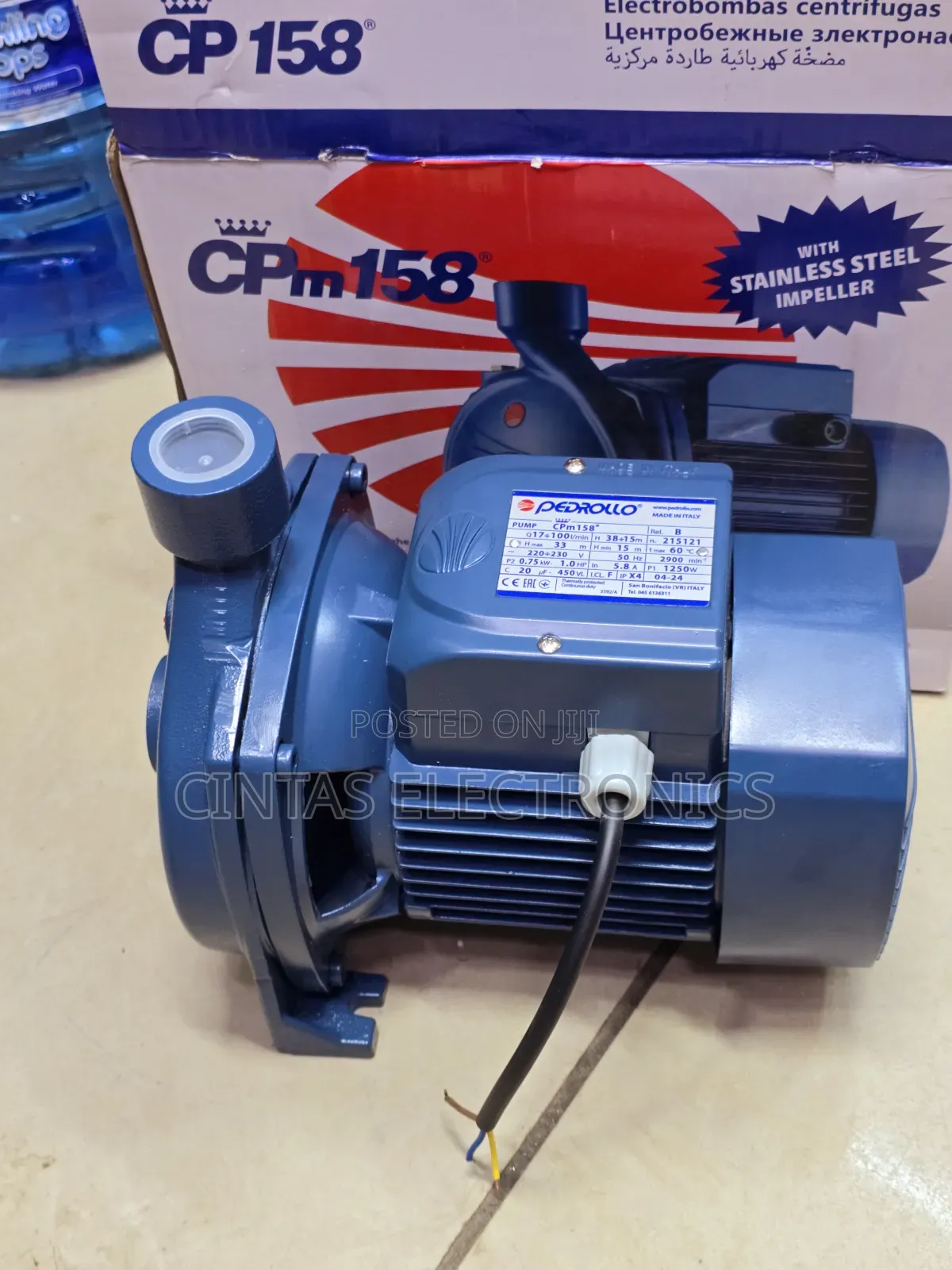 Pedrollo Water Pump