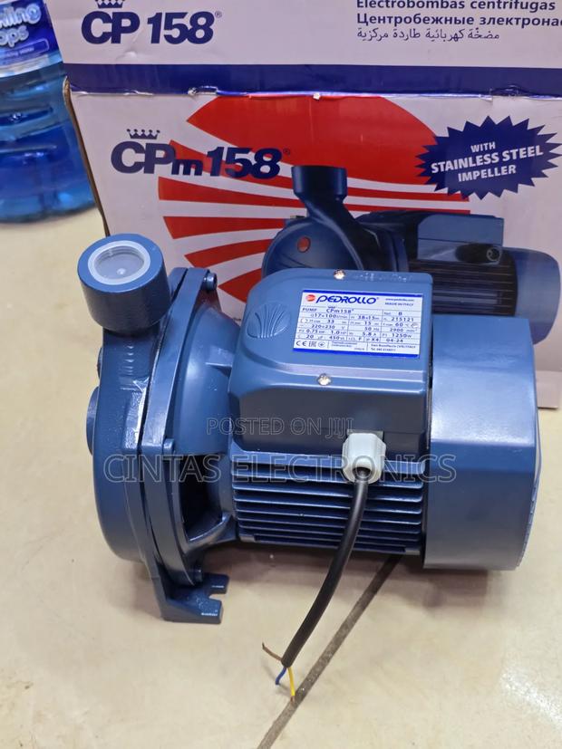 Pedrollo Water Pump