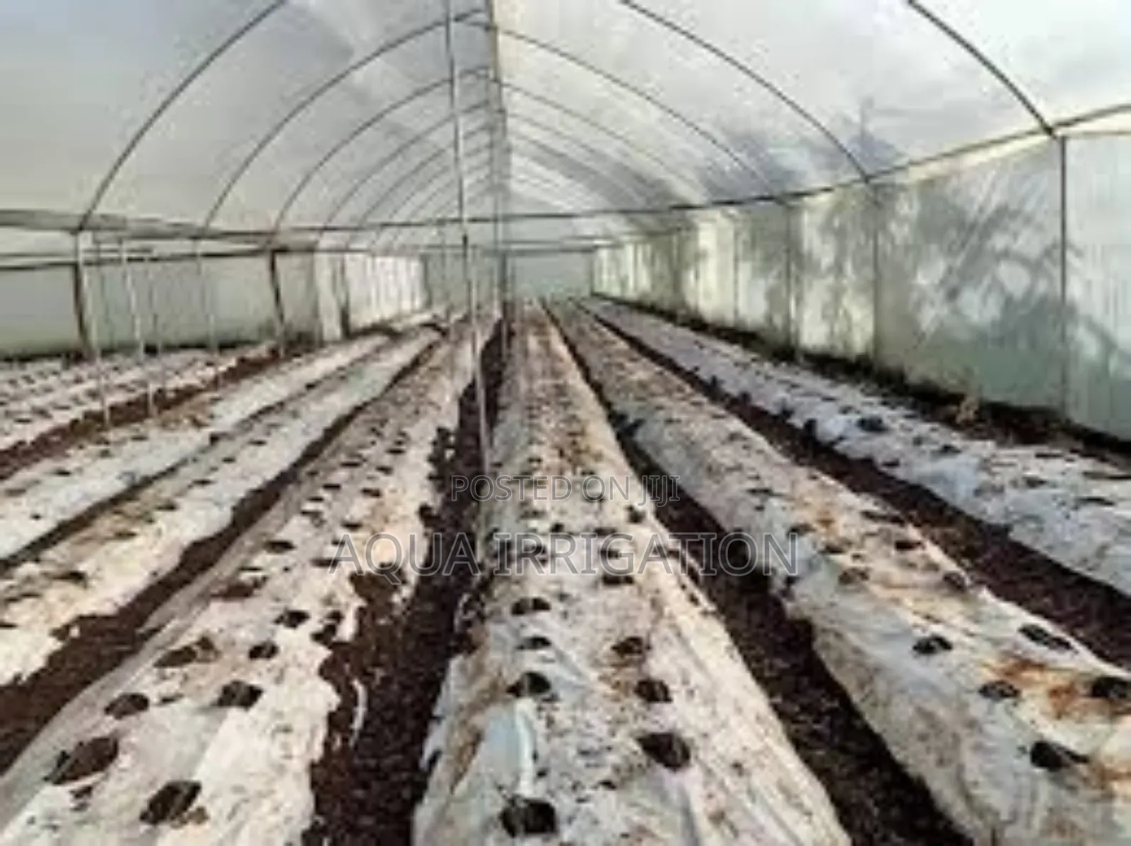 Plastic Mulch Film Paper