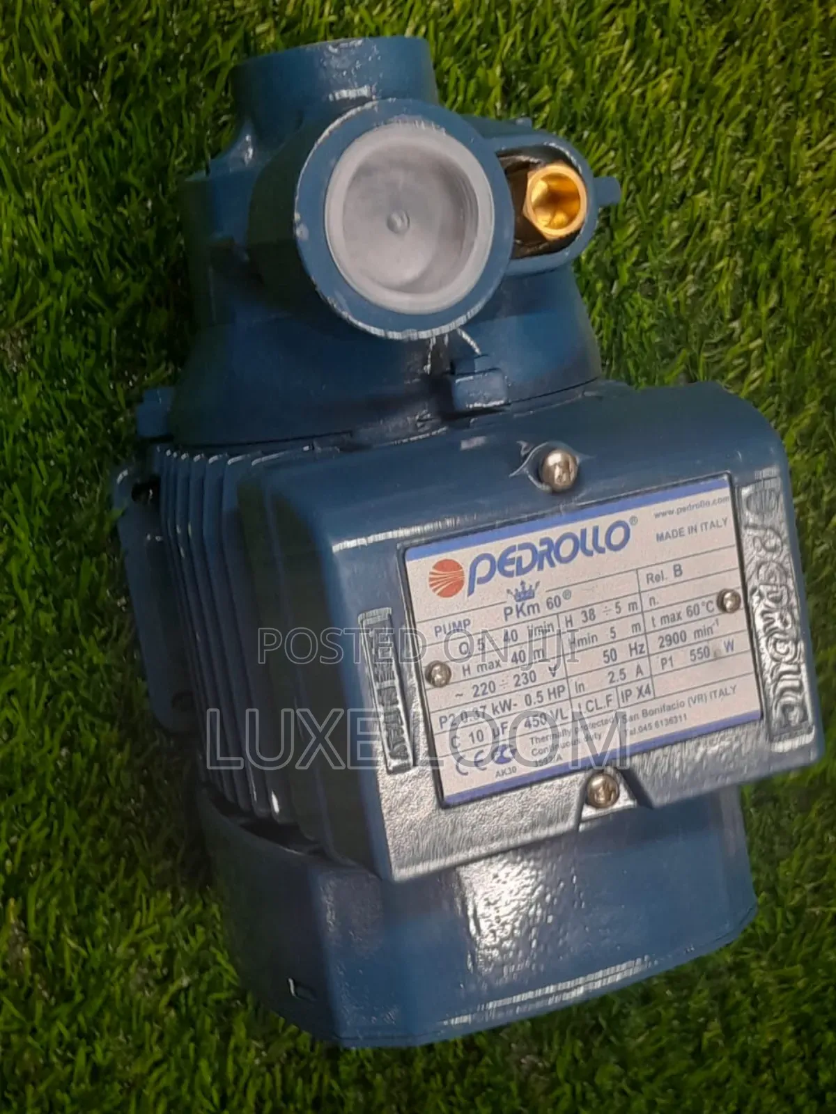 Pedrollo Water Pump