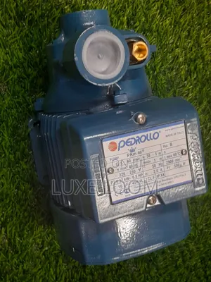 Pedrollo Water Pump