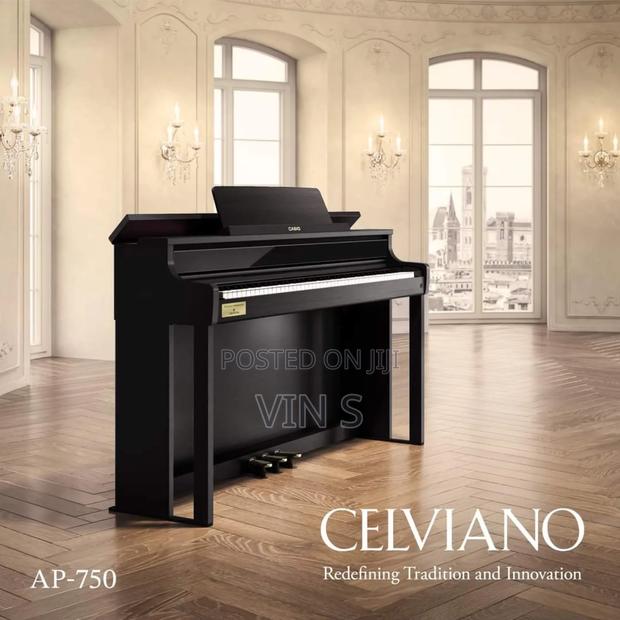 Grand Pianos/Digital Hybrid Pianos/Casio Ap-750