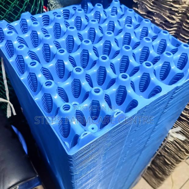 High Quality Plastic Egg Trays - main view