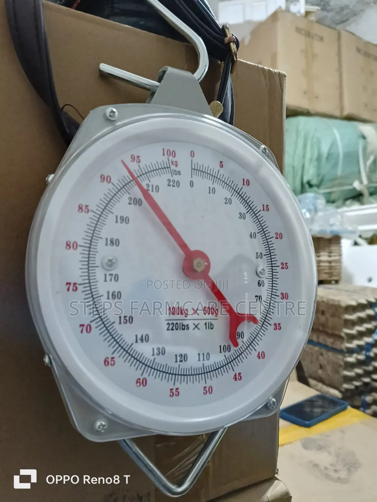 Analogue Hanging Scale