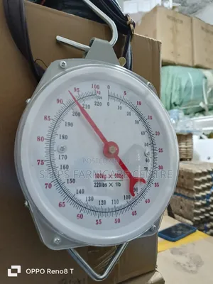 Analogue Hanging Scale